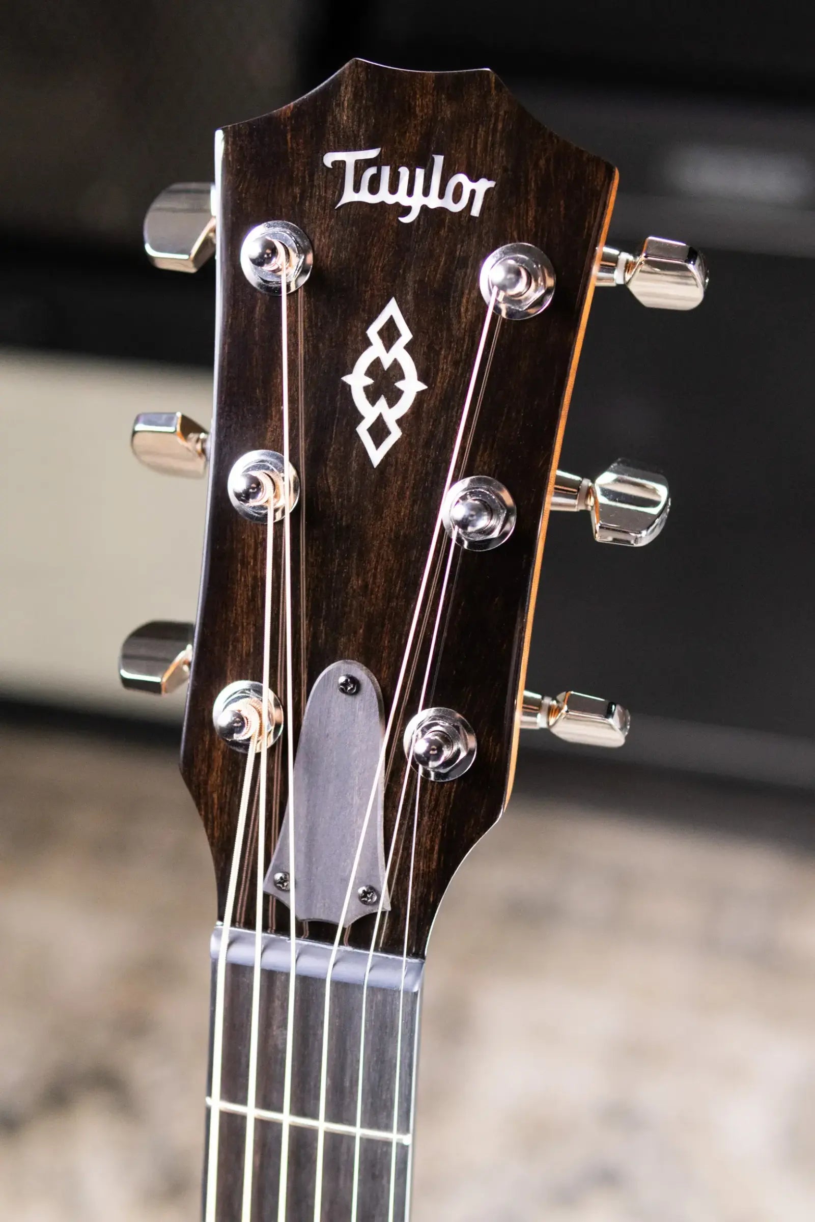 Taylor Next Generation 514ce Grand Auditorium Acoustic/Electric Guitar with Hardshell Case