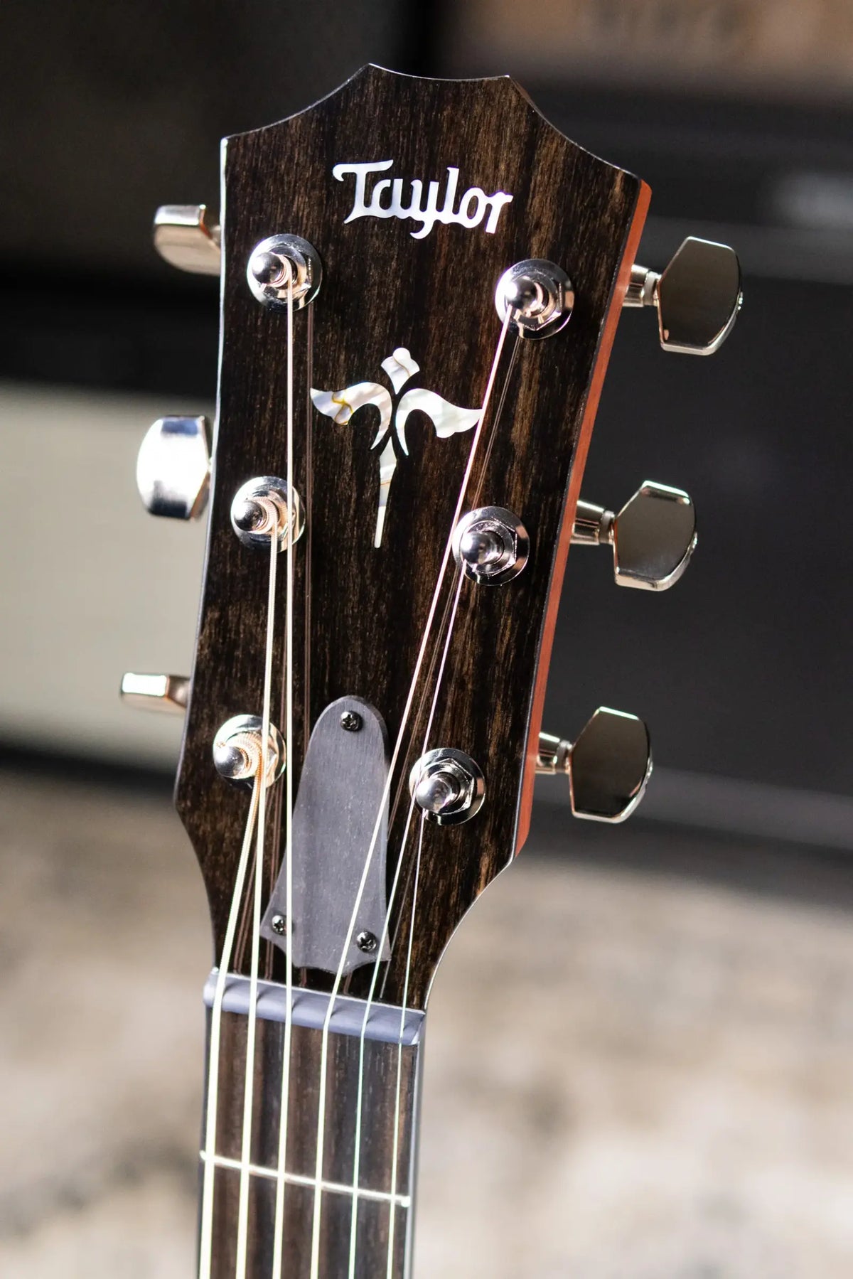 Taylor Next Generation 614ce Grand Auditorium Acoustic/Electric Guitar - Antique Blonde with Hardshell Case