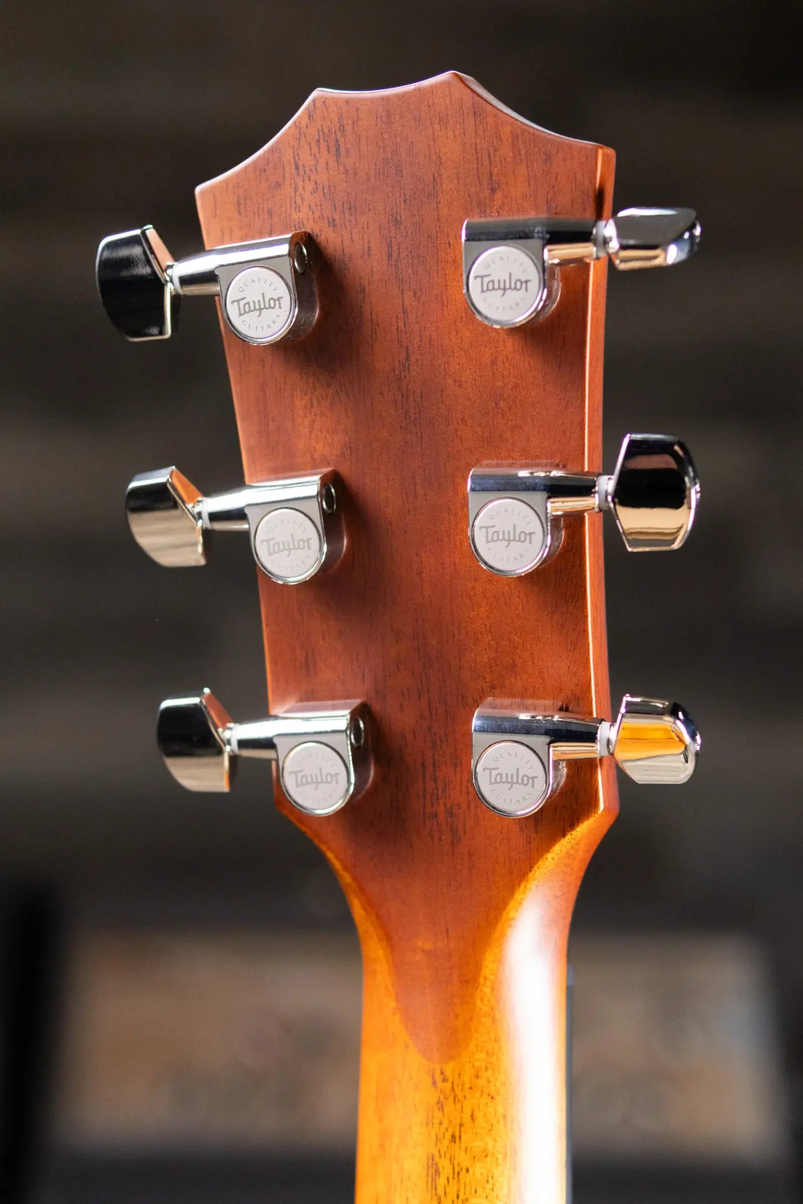 Taylor Next Generation 614ce Grand Auditorium Acoustic/Electric Guitar - Antique Blonde with Hardshell Case