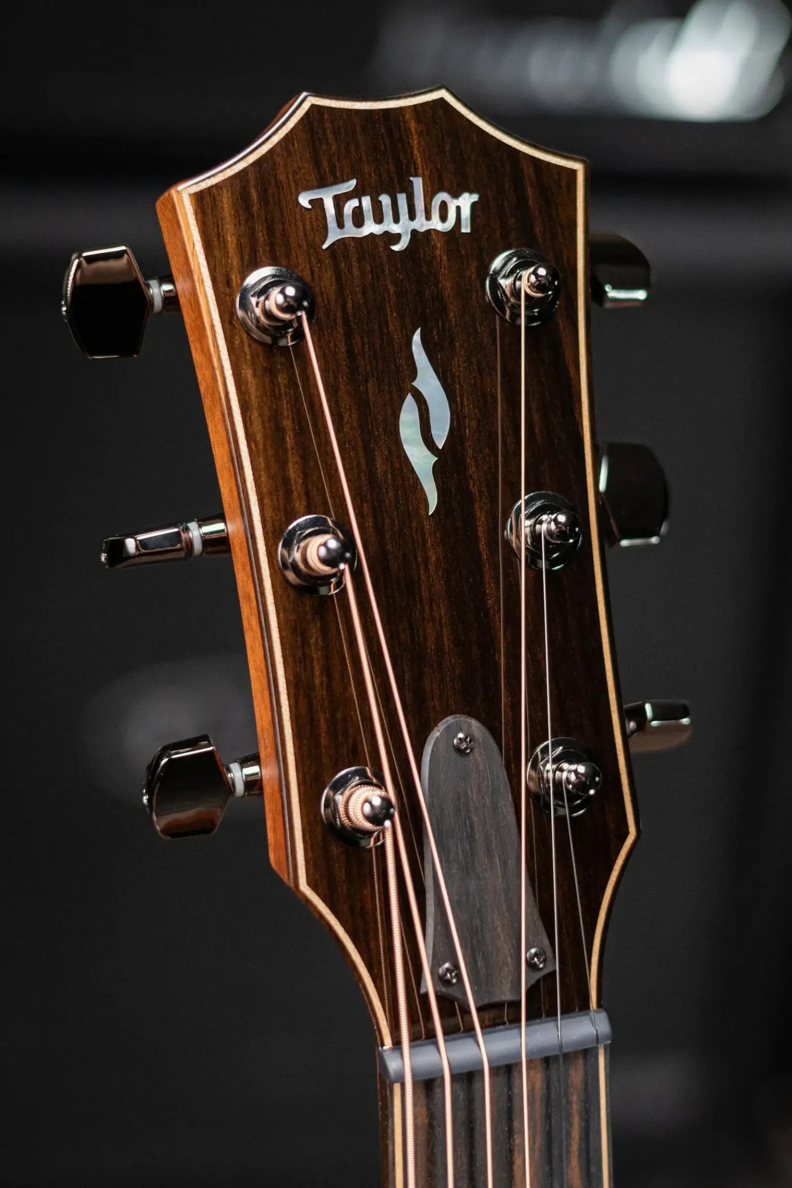 Taylor Next Generation 814ce Grand Auditorium Acoustic/Electric Guitar with Hardshell Case
