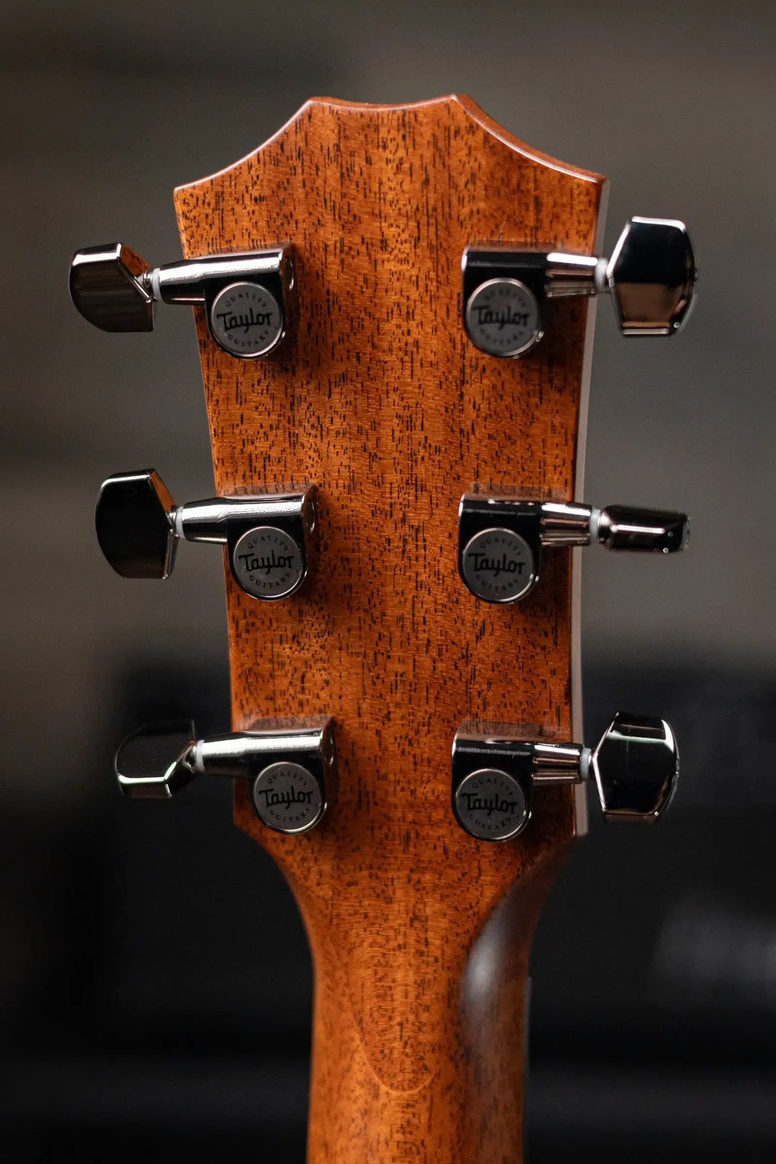 Taylor Next Generation 814ce Grand Auditorium Acoustic/Electric Guitar with Hardshell Case