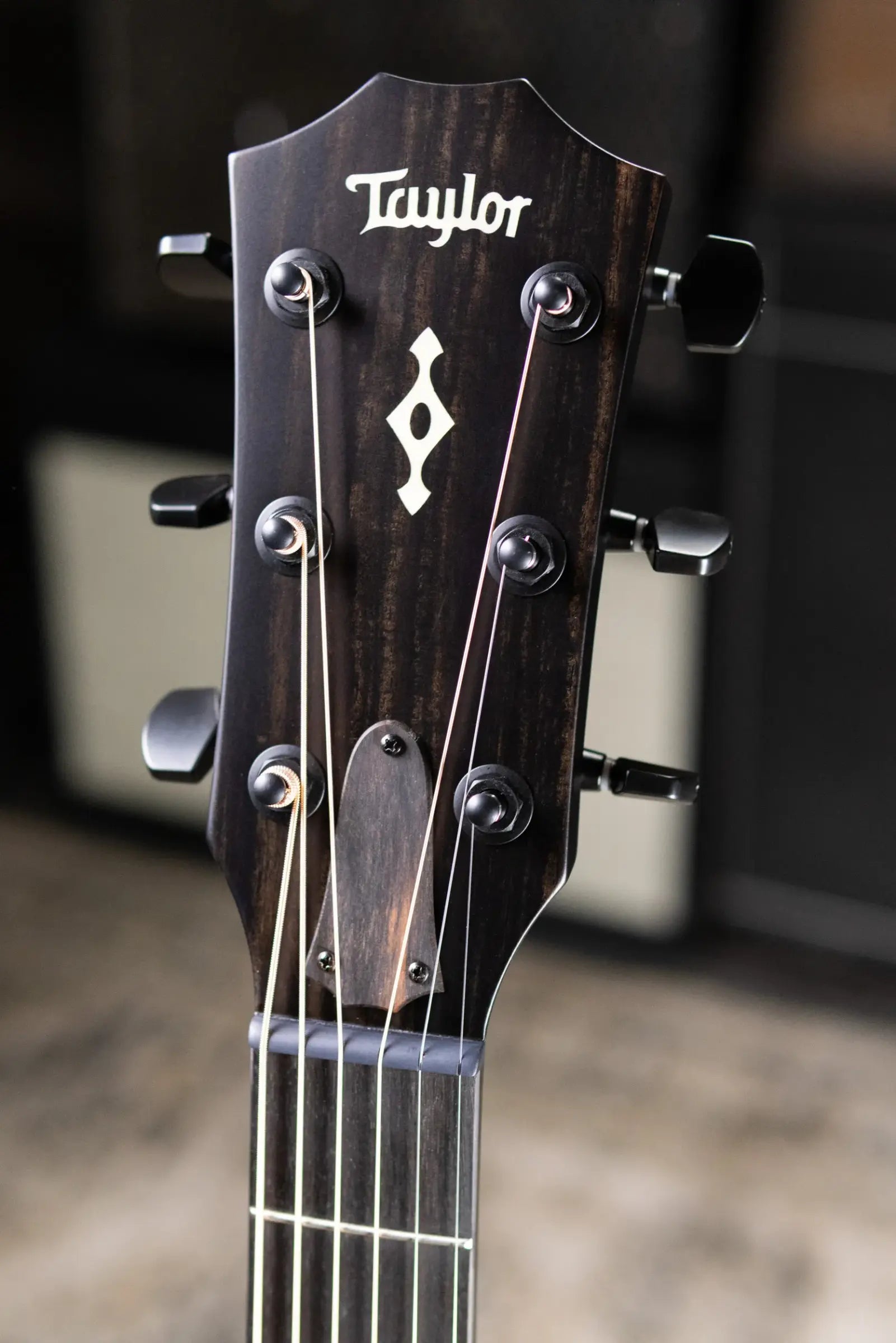 Taylor Next Generation Builder's Edition 324ce Grand Auditorium Acoustic/Electric Guitar with Hardshell Case