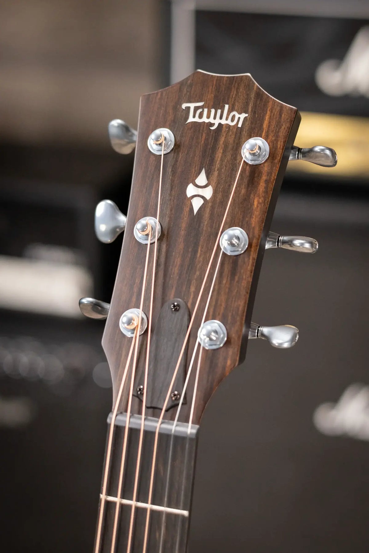 Taylor Next Generation Builder's Edition 514ce Grand Auditorium Acoustic/Electric Guitar - Kona Burst Top with Hardshell Case