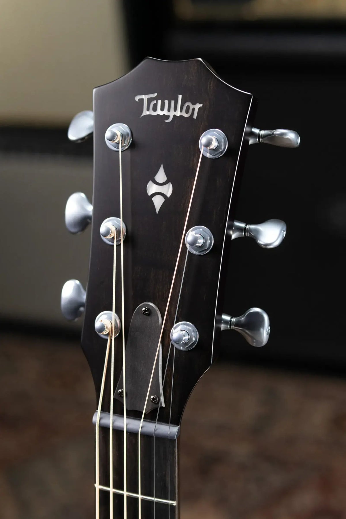 Taylor Next Generation Builder's Edition 524ce Grand Auditorium Acoustic/Electric Guitar with Hardshell Case