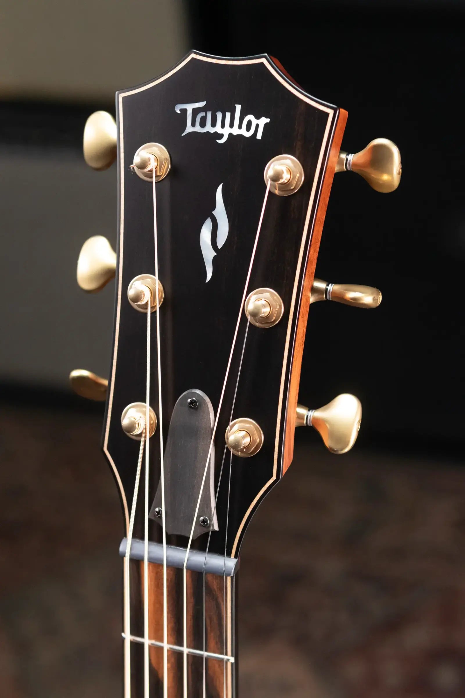 Taylor Next Generation Builder's Edition 814ce Grand Auditorium Acoustic/Electric Guitar - Blacktop with Hardshell Case