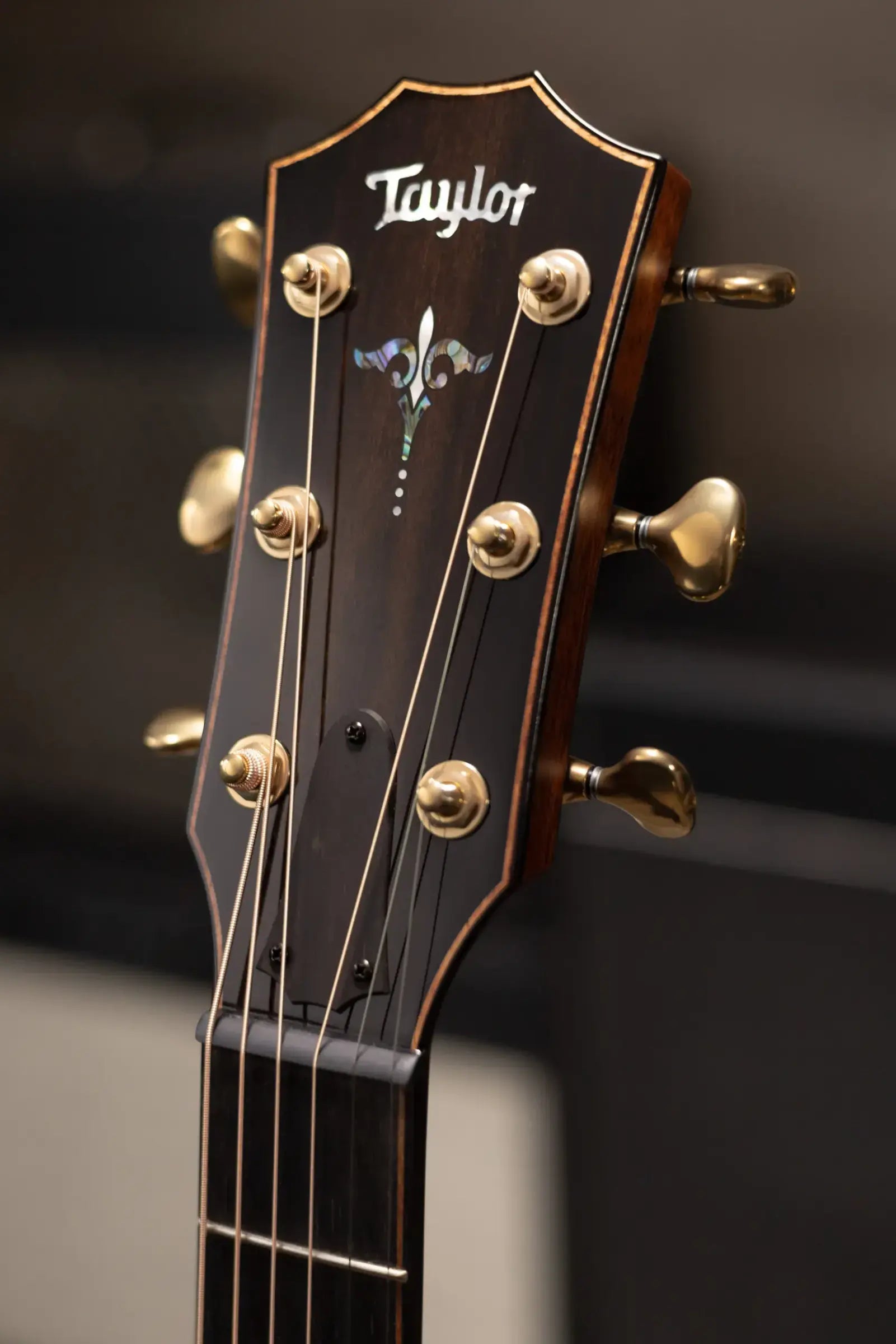 Taylor Next Generation Builder's Edition 914ce Grand Auditorium Acoustic/Electric Guitar with Hardshell Case