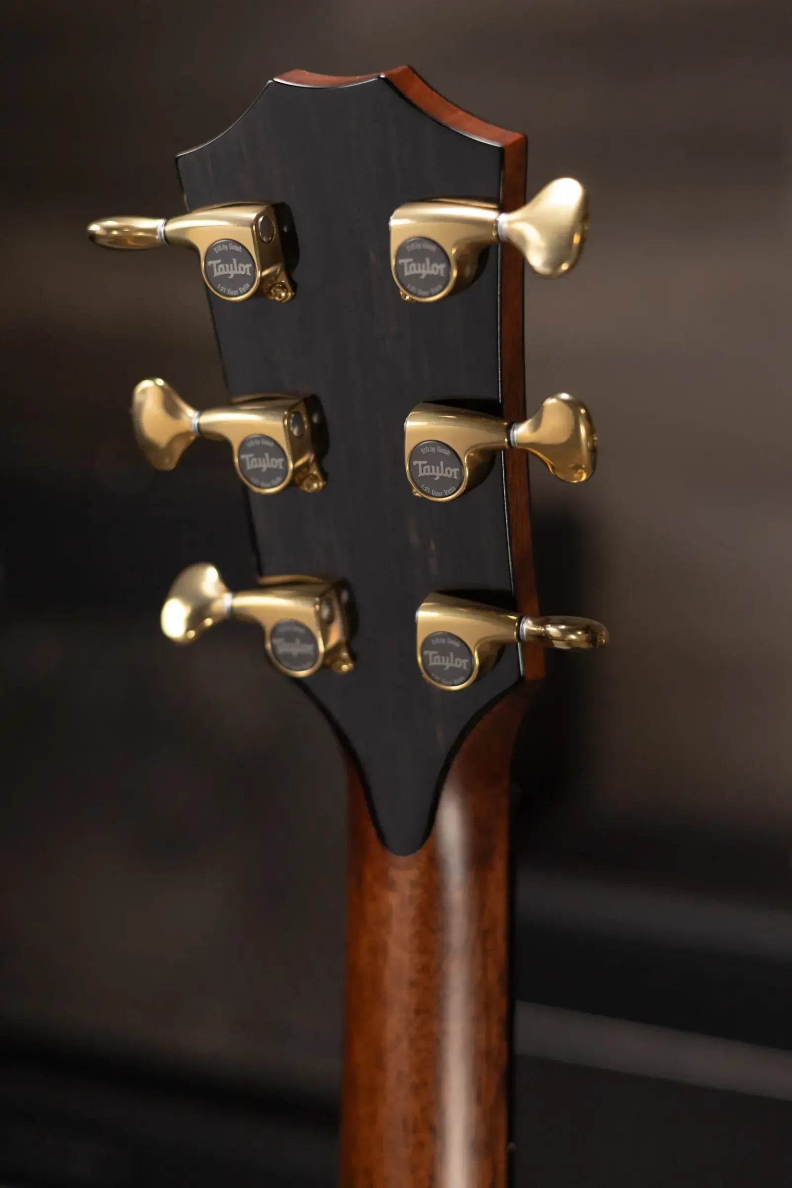 Taylor Next Generation Builder's Edition 914ce Grand Auditorium Acoustic/Electric Guitar with Hardshell Case