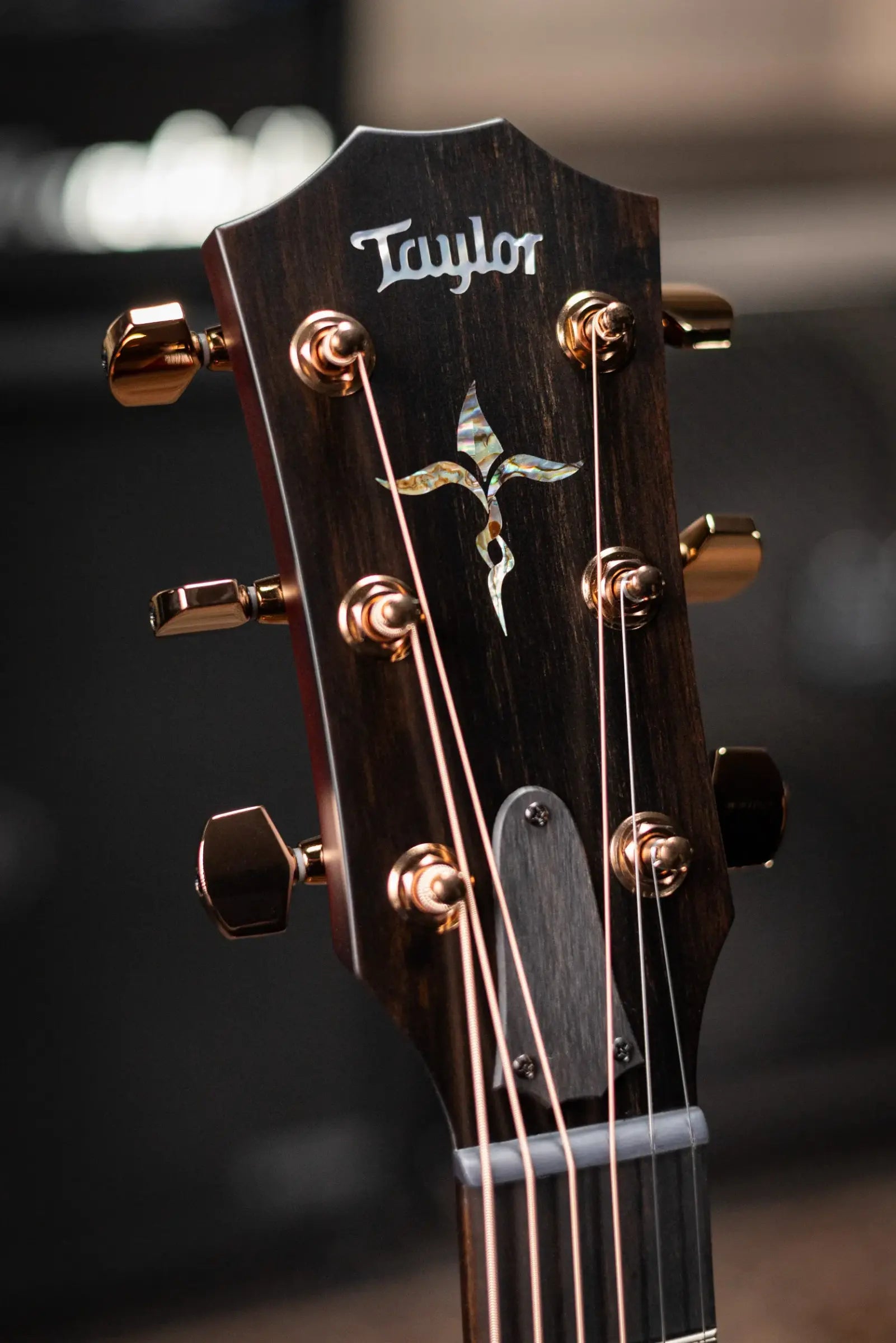 Taylor Next Generation K24ce Special Edition Grand Auditorium Acoustic/Electric Guitar with Hardshell Case