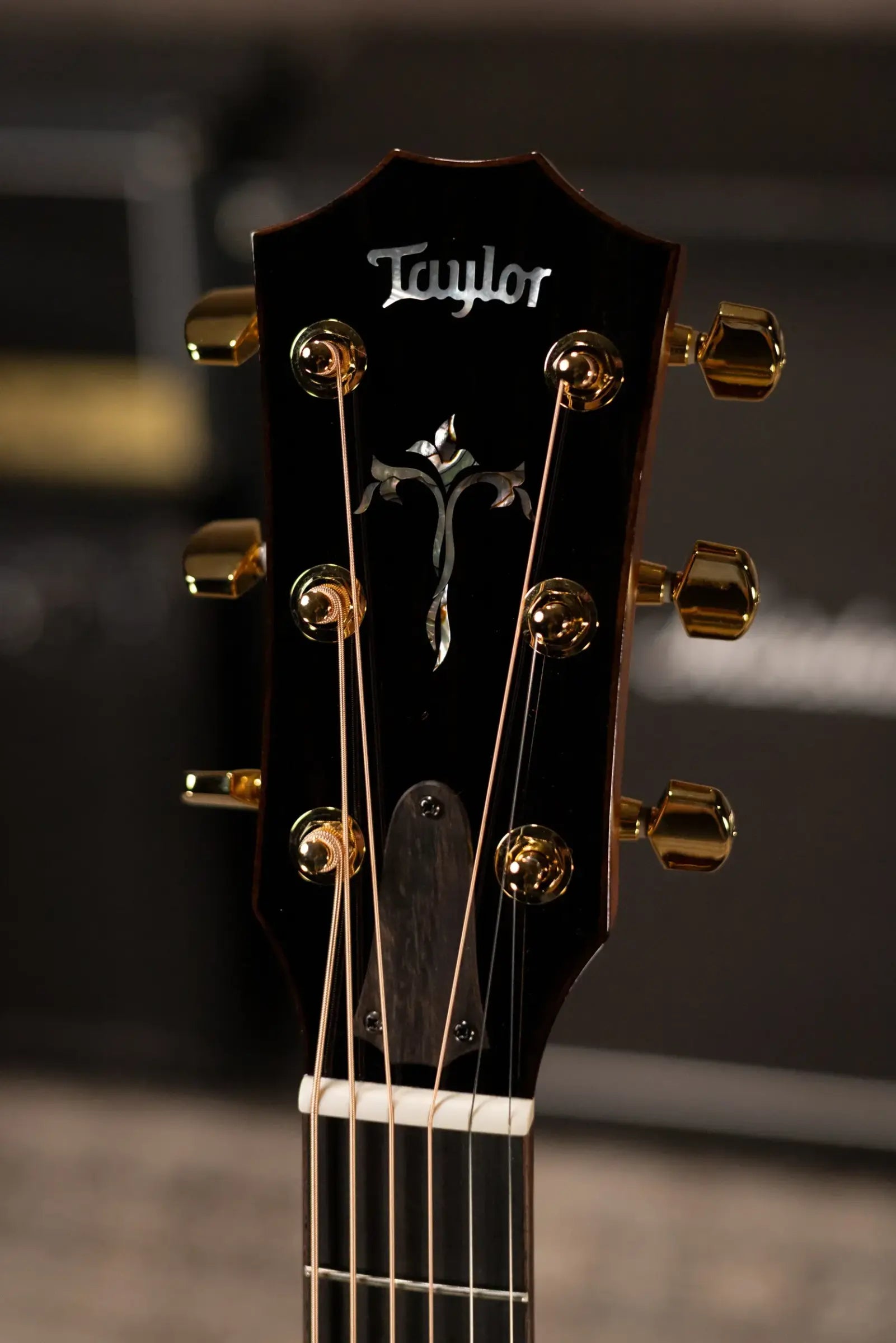 Taylor One-of-a-Kind Legacy 910e Special Edition Acoustic/Electric Guitar - Natural with Hardshell Case