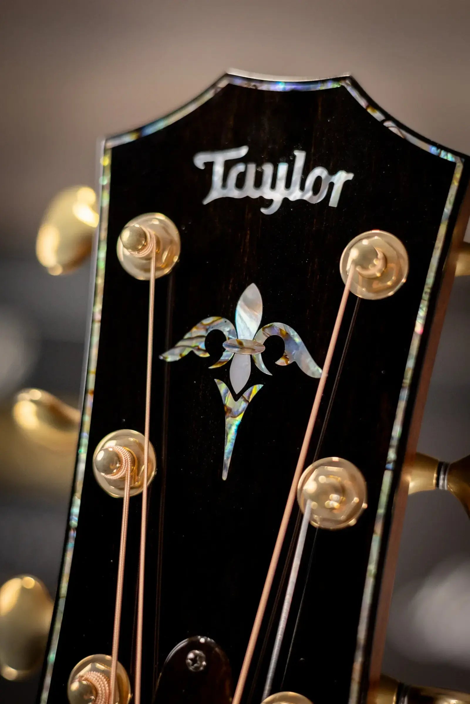 Taylor PS14ce Honduran Rosewood/Sinker Redwood Acoustic/Electric with Deluxe with Hardshell Case