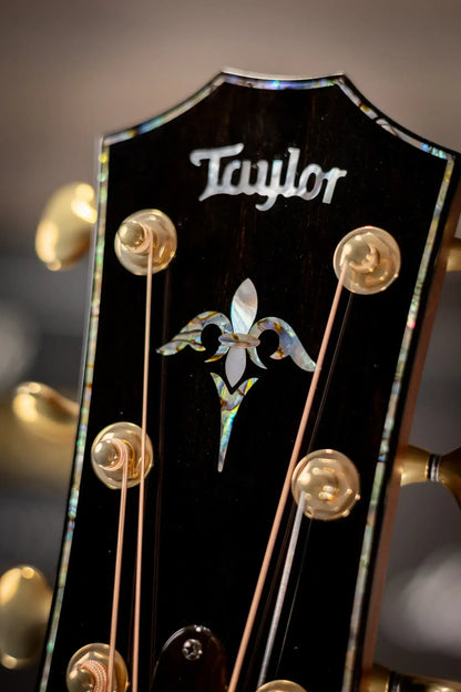 Taylor PS14ce Honduran Rosewood/Sinker Redwood Acoustic/Electric with Deluxe with Hardshell Case