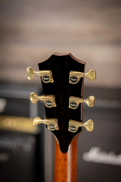 Taylor PS14ce Honduran Rosewood/Sinker Redwood Acoustic/Electric with Deluxe with Hardshell Case