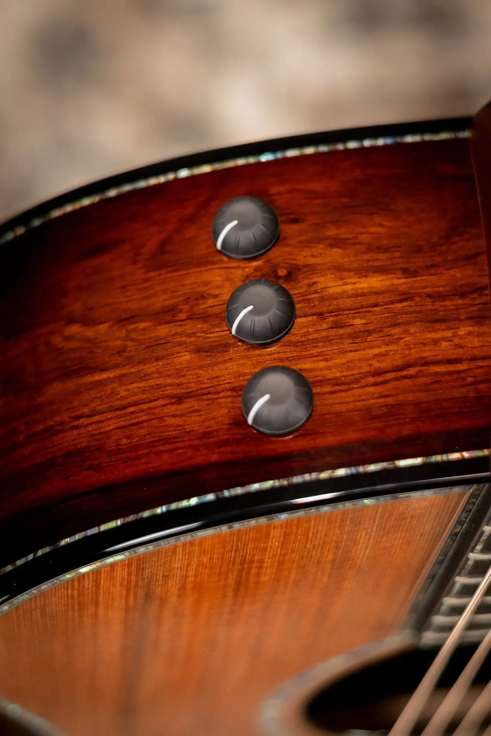 Taylor PS14ce Honduran Rosewood/Sinker Redwood Acoustic/Electric with Deluxe with Hardshell Case