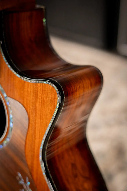 Taylor PS14ce Honduran Rosewood/Sinker Redwood Acoustic/Electric with Deluxe with Hardshell Case