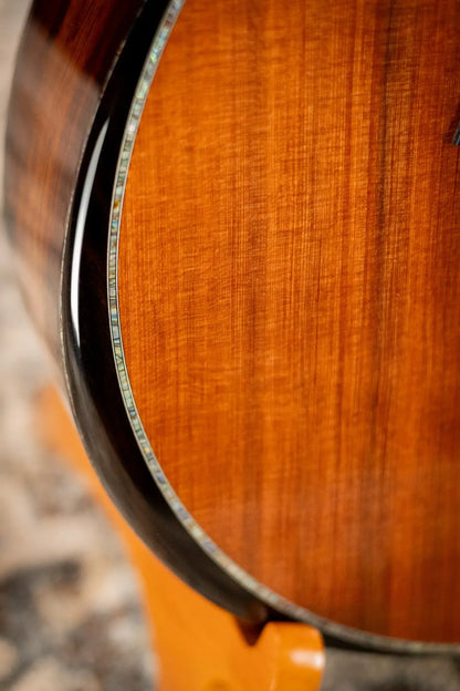 Taylor PS14ce Honduran Rosewood/Sinker Redwood Acoustic/Electric with Deluxe with Hardshell Case