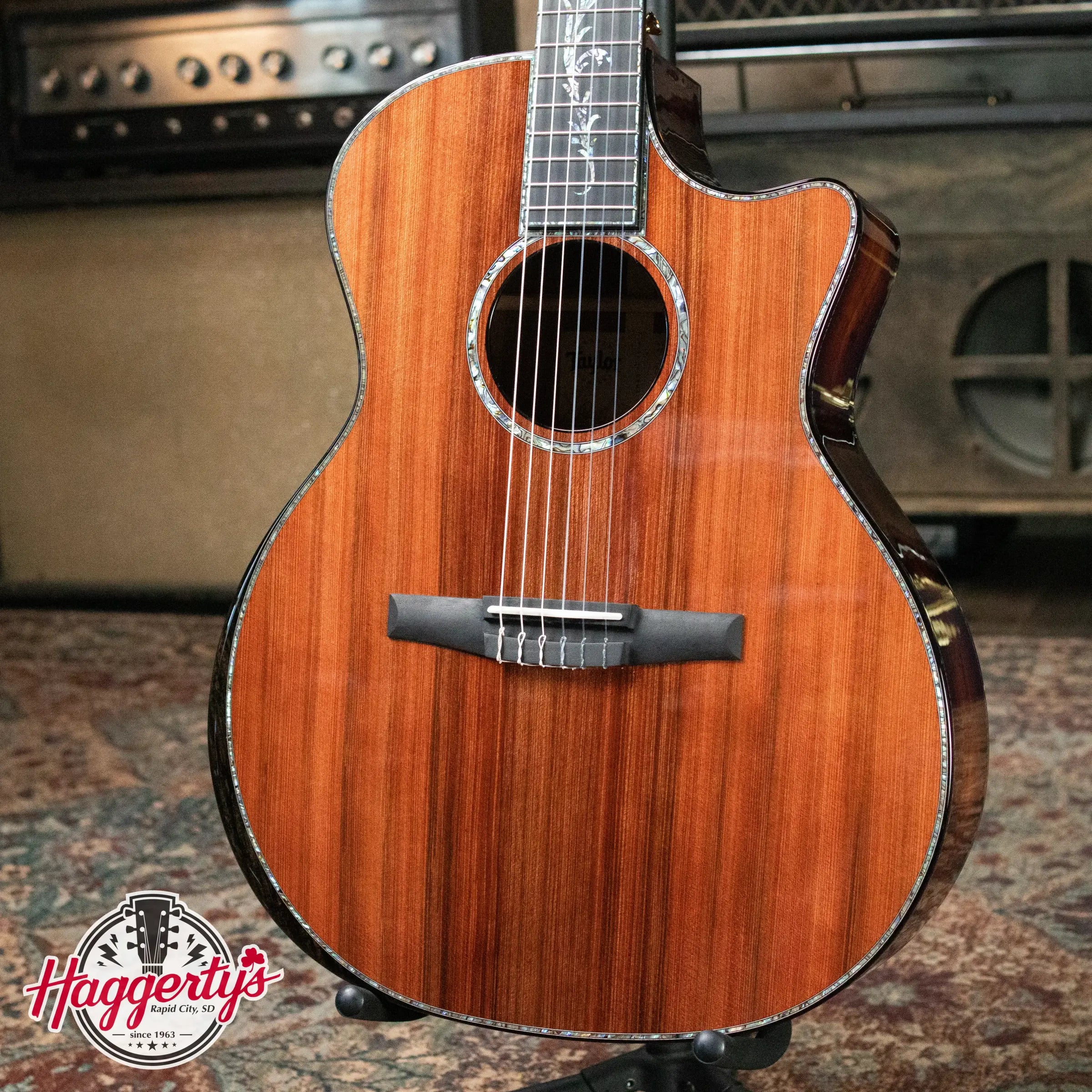 Taylor PS14ce-N Presentation Series Nylon Grand Auditorium Acoustic/Electric with Hardshell Case