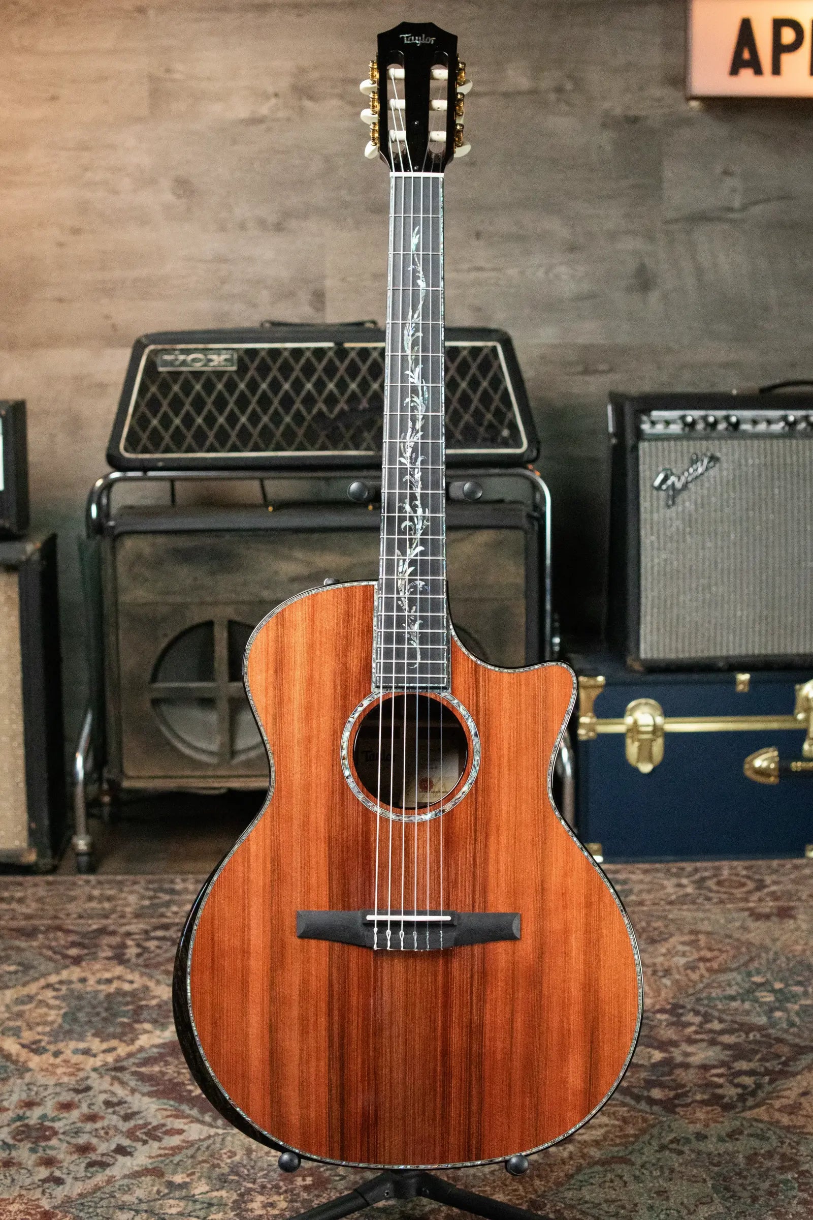 Taylor PS14ce-N Presentation Series Nylon Grand Auditorium Acoustic/Electric with Hardshell Case