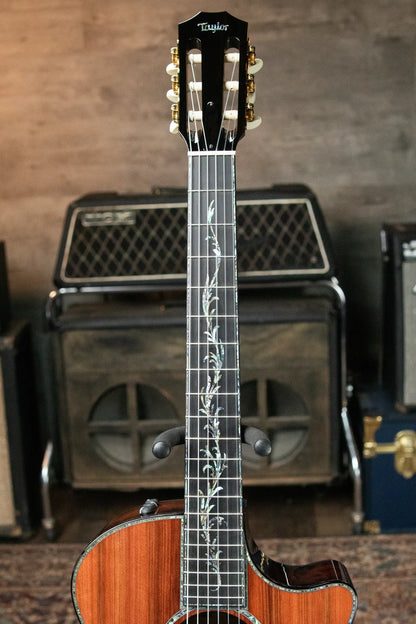 Taylor PS14ce-N Presentation Series Nylon Grand Auditorium Acoustic/Electric with Hardshell Case