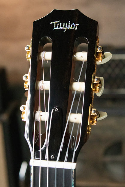 Taylor PS14ce-N Presentation Series Nylon Grand Auditorium Acoustic/Electric with Hardshell Case