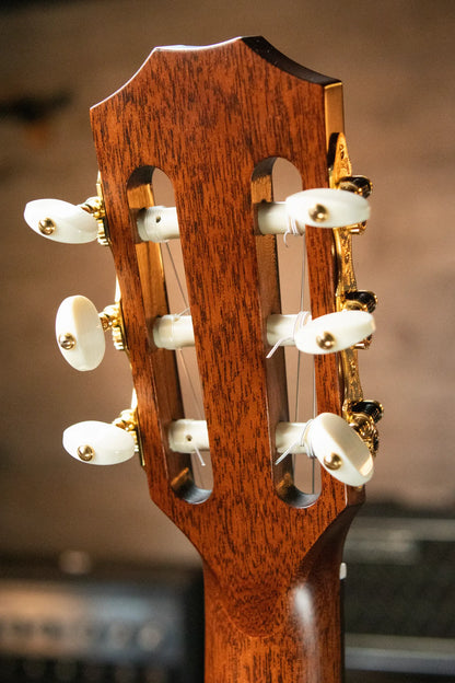 Taylor PS14ce-N Presentation Series Nylon Grand Auditorium Acoustic/Electric with Hardshell Case