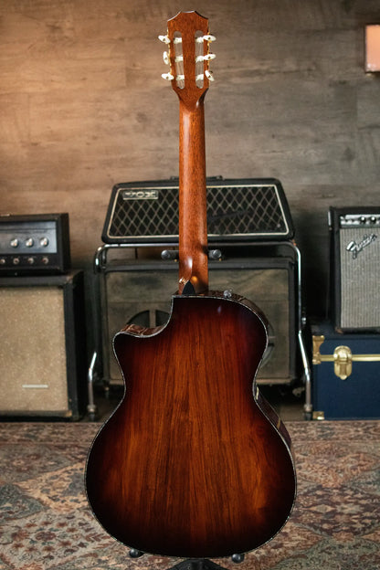 Taylor PS14ce-N Presentation Series Nylon Grand Auditorium Acoustic/Electric with Hardshell Case