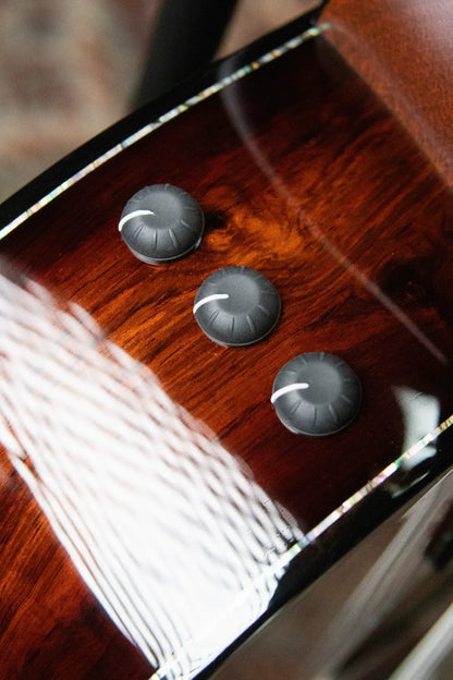 Taylor PS14ce-N Presentation Series Nylon Grand Auditorium Acoustic/Electric with Hardshell Case