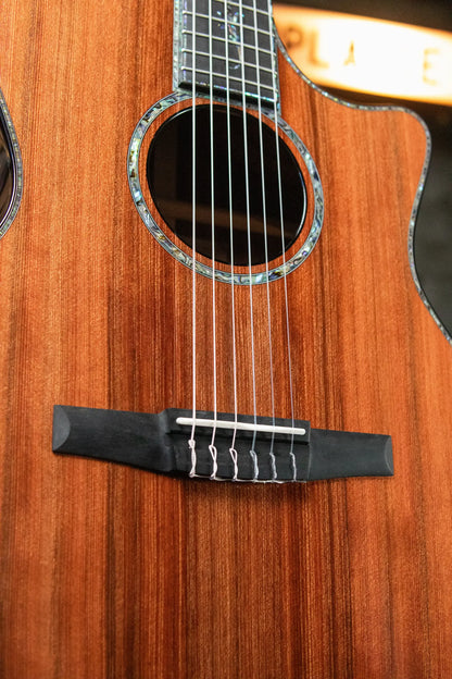 Taylor PS14ce-N Presentation Series Nylon Grand Auditorium Acoustic/Electric with Hardshell Case