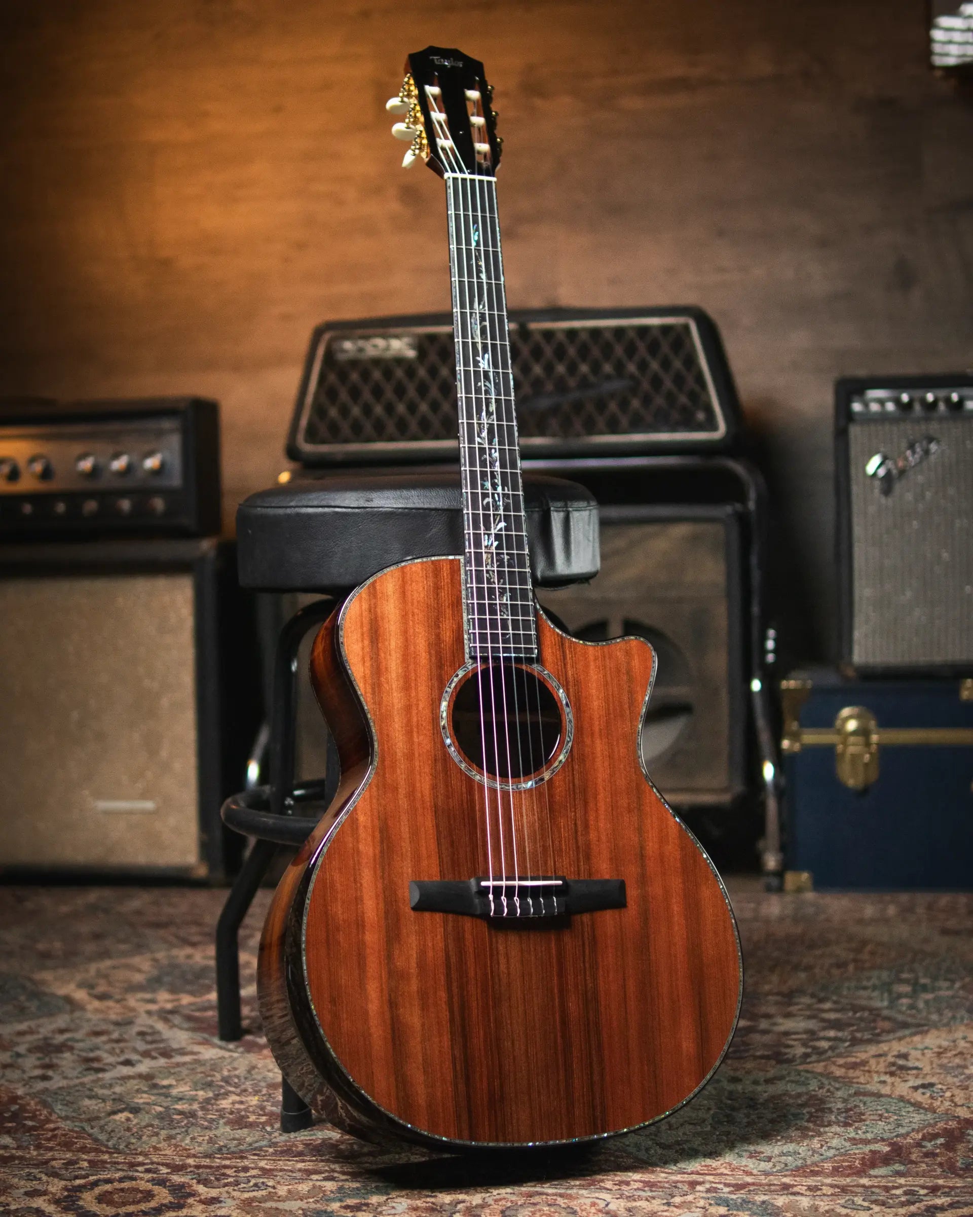 Taylor PS14ce-N Presentation Series Nylon Grand Auditorium Acoustic/Electric with Hardshell Case