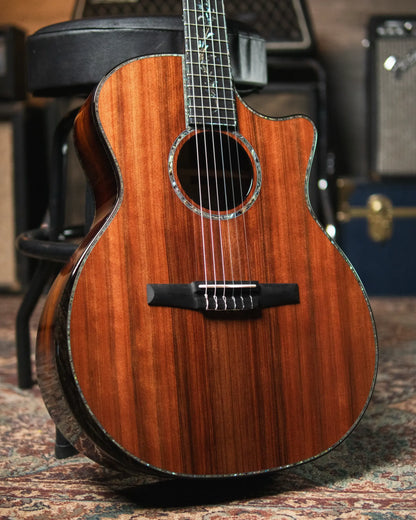 Taylor PS14ce-N Presentation Series Nylon Grand Auditorium Acoustic/Electric with Hardshell Case