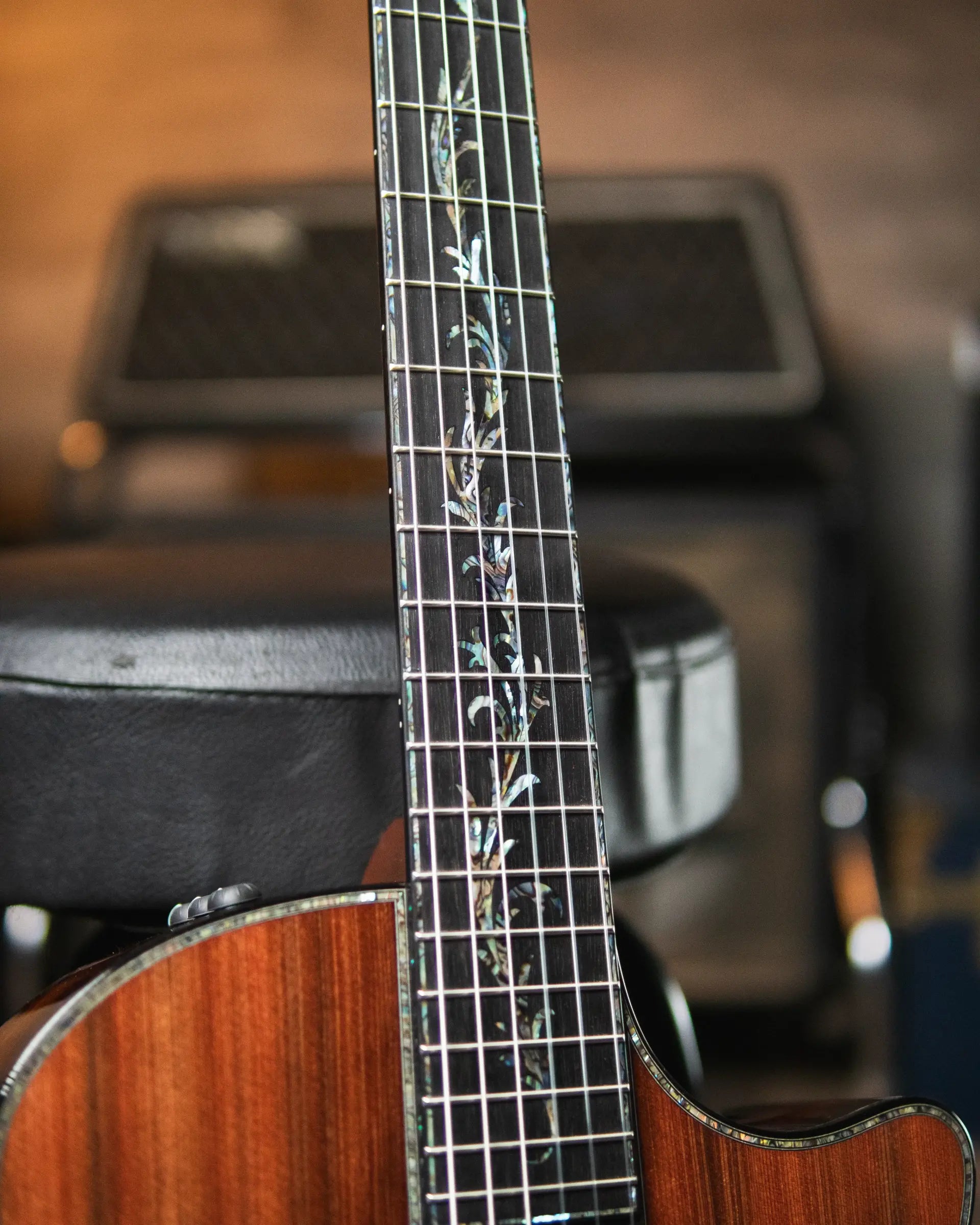 Taylor PS14ce-N Presentation Series Nylon Grand Auditorium Acoustic/Electric with Hardshell Case