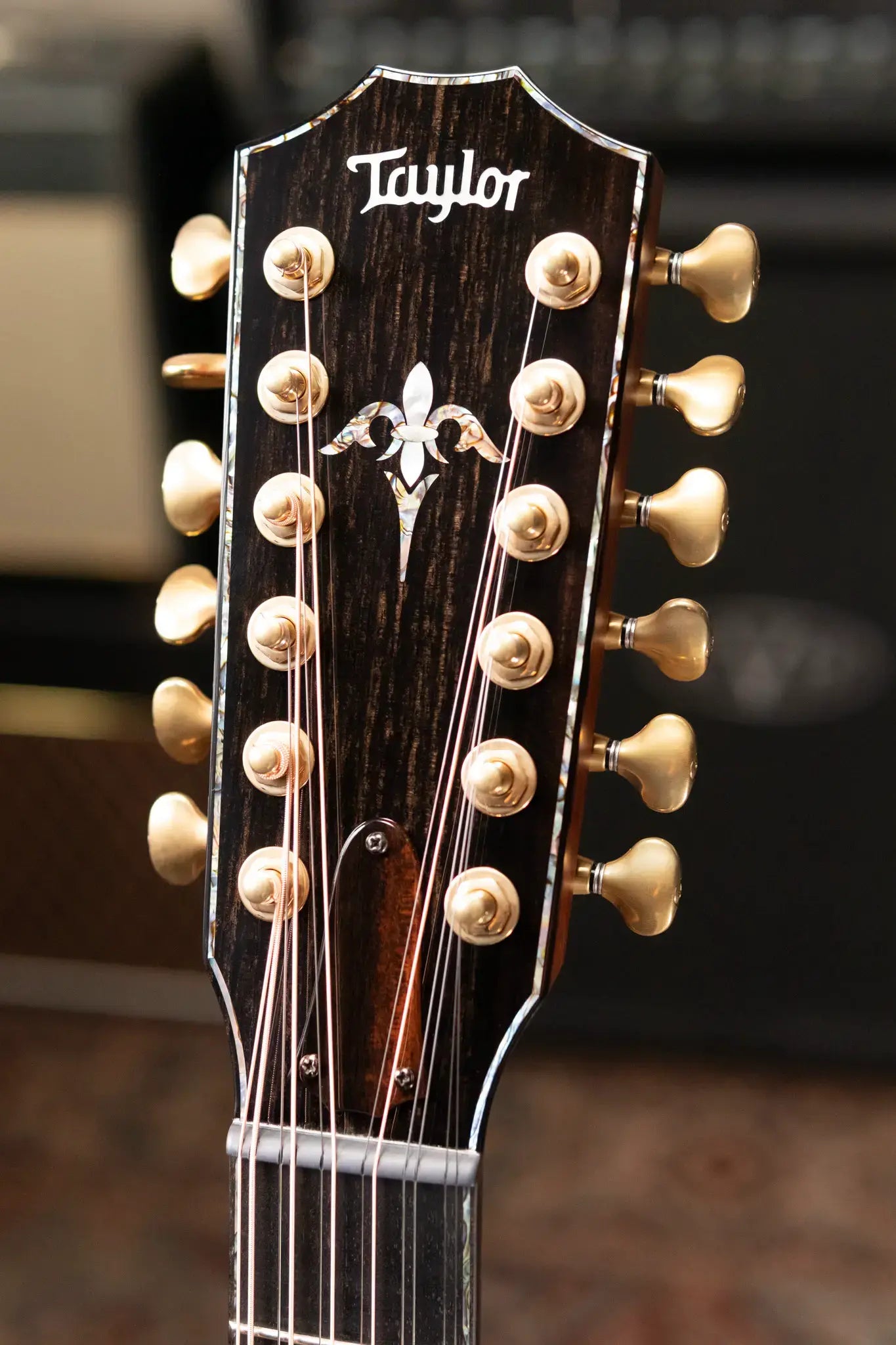 Taylor PS54ce Presentation Series 12-String Grand Auditorium Honduran Rosewood/Adirondack Spruce Acoustic/Electric Guitar with Hardshell Case