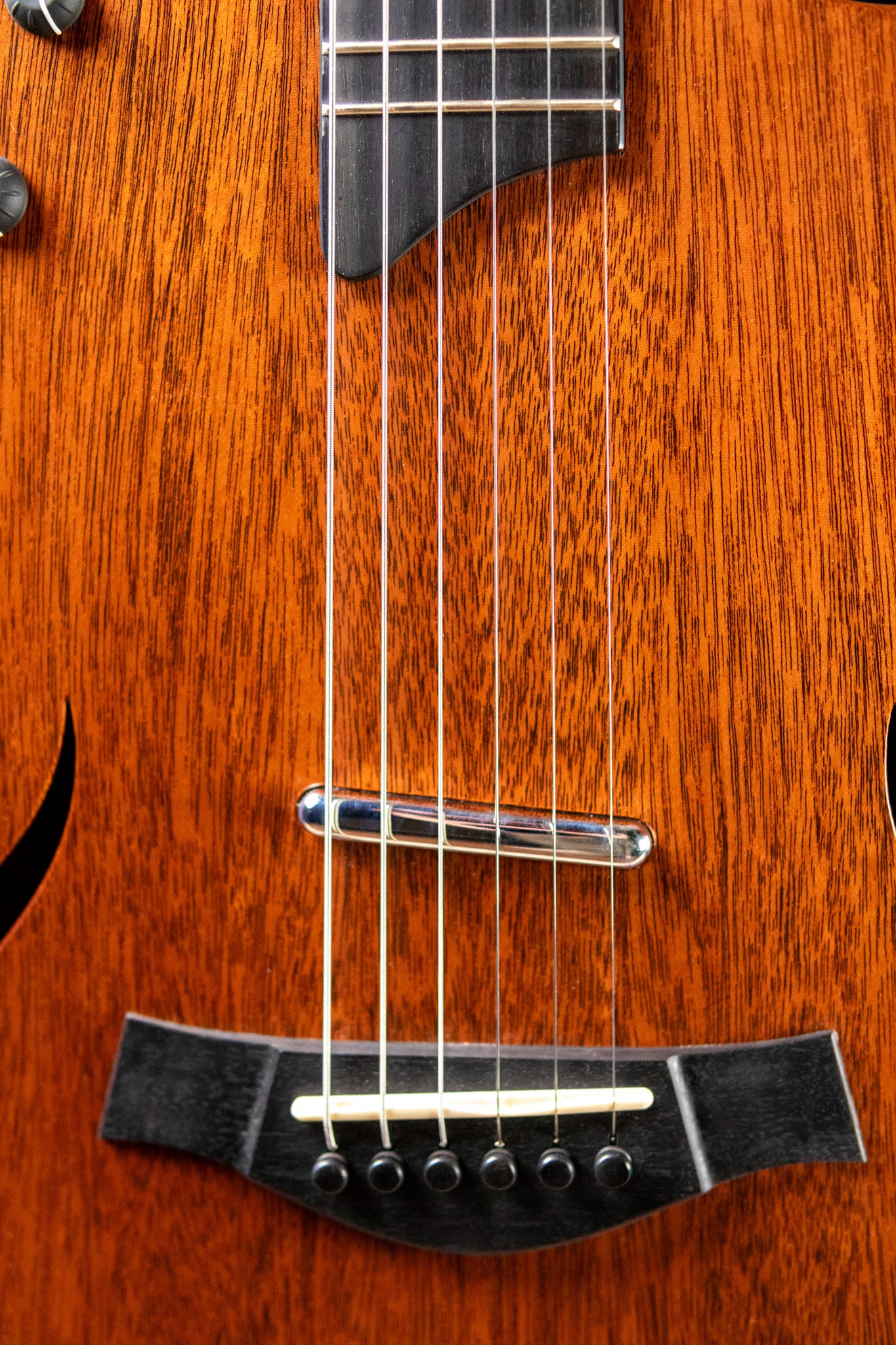 Taylor T5 Classic - Mahogany with Gig Bag - Used