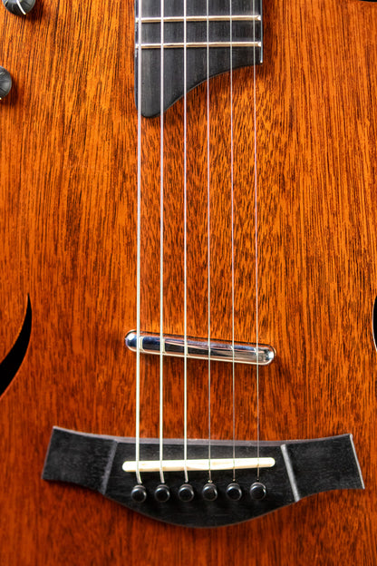 Taylor T5 Classic - Mahogany with Gig Bag - Used