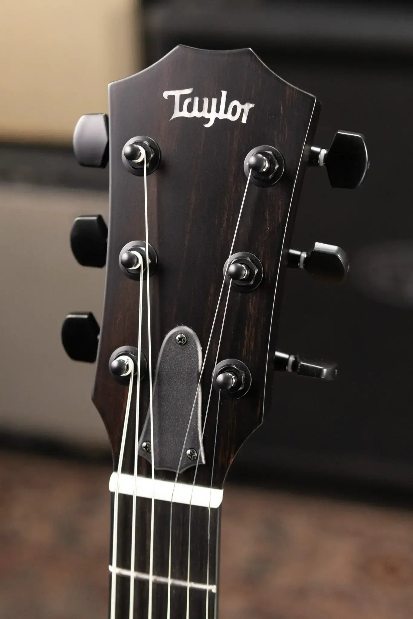 Taylor T5z Classic Electric Guitar - Rosewood with Aerocase