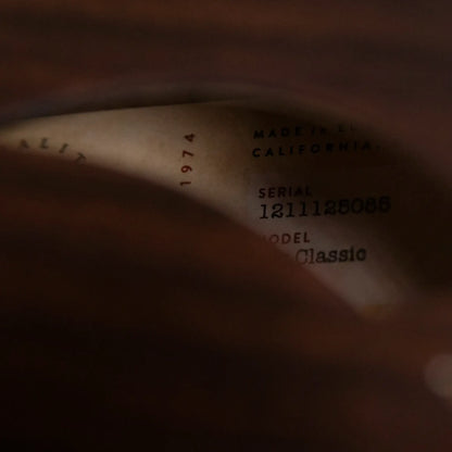 Taylor T5z Classic Electric Guitar - Rosewood with Aerocase