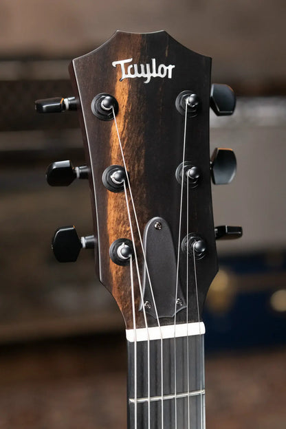 Taylor T5z Classic Electric Guitar - Sassafras Top with Aerocase