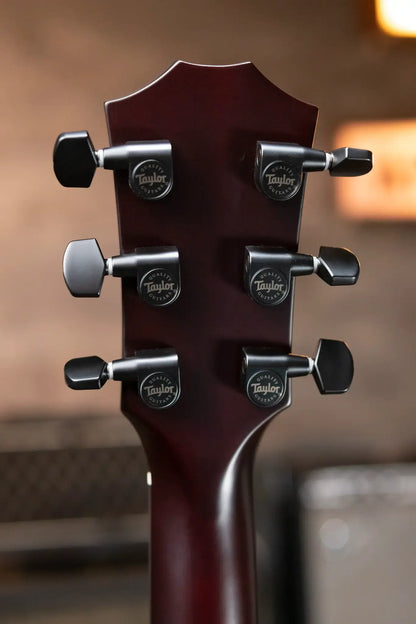 Taylor T5z Classic Electric Guitar - Sassafras Top with Aerocase