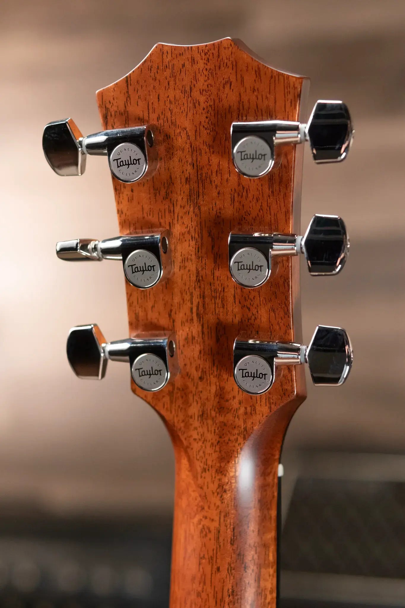 Taylor T5z Classic Electric Guitar with Gig Bag