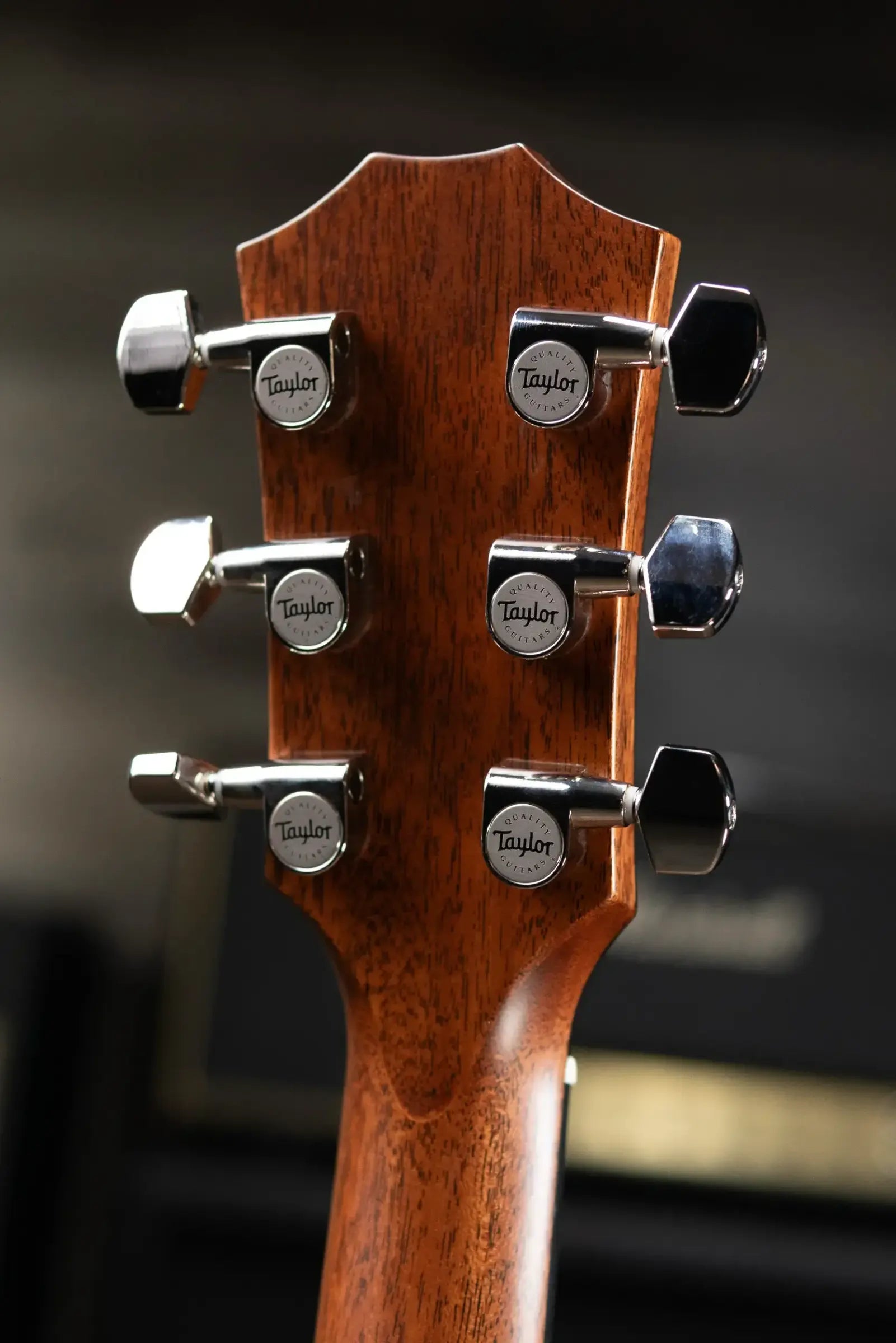 Taylor T5z Classic Hollowbody Electric Guitar - Classic Mahogany Stain with Gig Bag