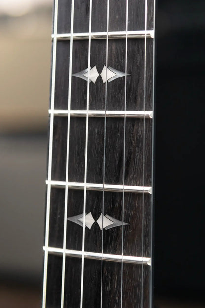 Taylor T5z Custom Electric Guitar with Hardshell Case