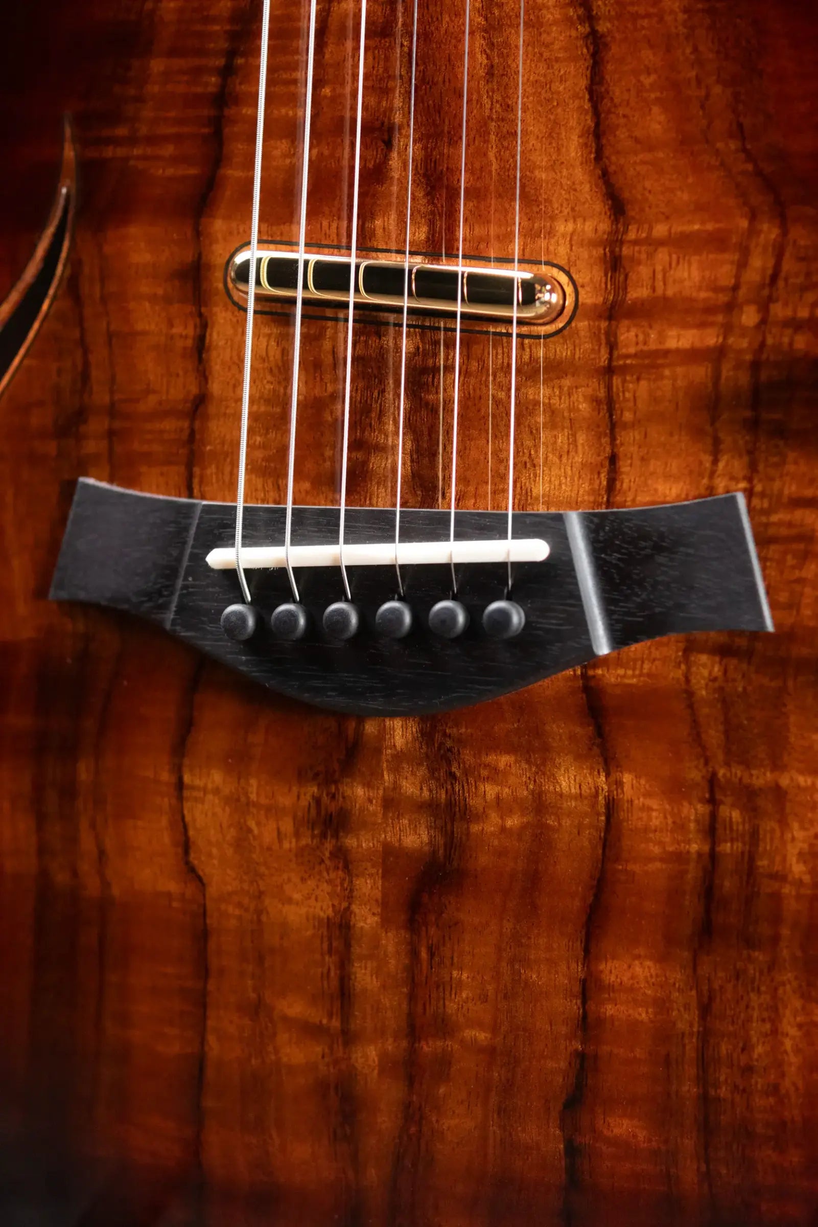 Taylor T5z Custom Electric Guitar with Hardshell Case