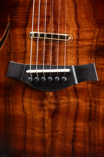 Taylor T5z Custom Electric Guitar with Hardshell Case