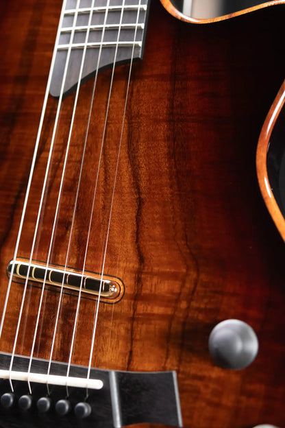 Taylor T5z Custom Electric Guitar with Hardshell Case