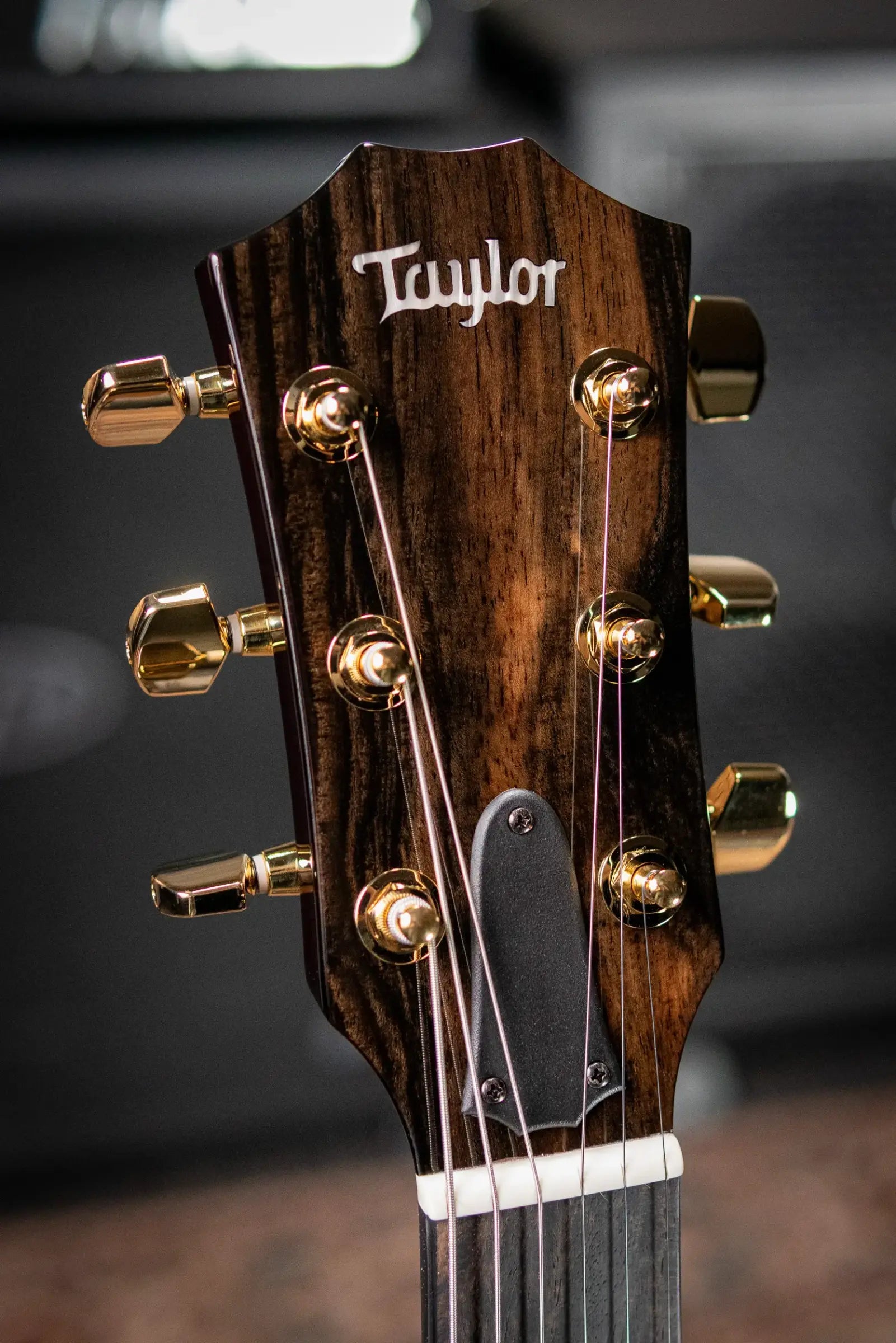 Taylor T5z Custom Koa Armrest Hollowbody Electric Guitar - Shaded Edge Burst with Hardshell Case