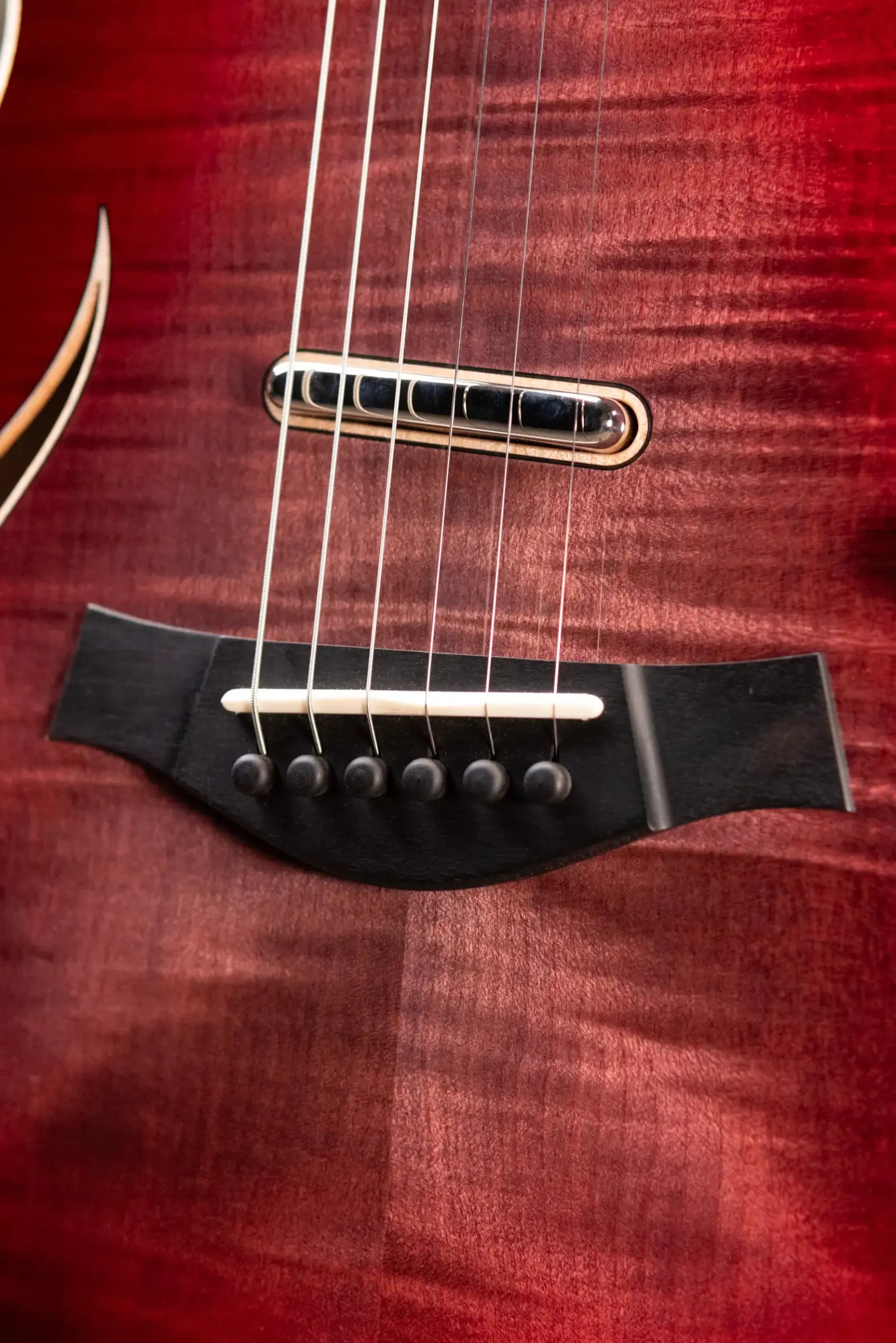 Taylor T5z Pro Electric Guitar - Grapevine with Hardshell Case