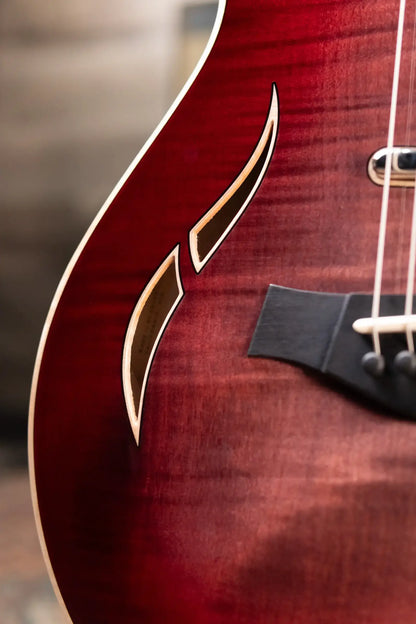 Taylor T5z Pro Electric Guitar - Grapevine with Hardshell Case