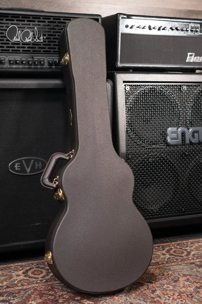 Taylor T5z Pro Electric Guitar - Grapevine with Hardshell Case