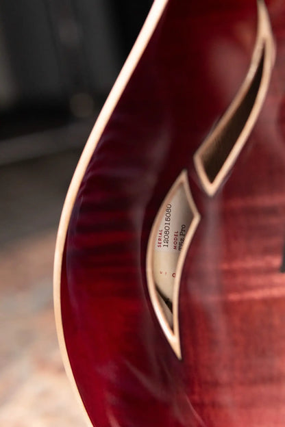 Taylor T5z Pro Electric Guitar - Grapevine with Hardshell Case