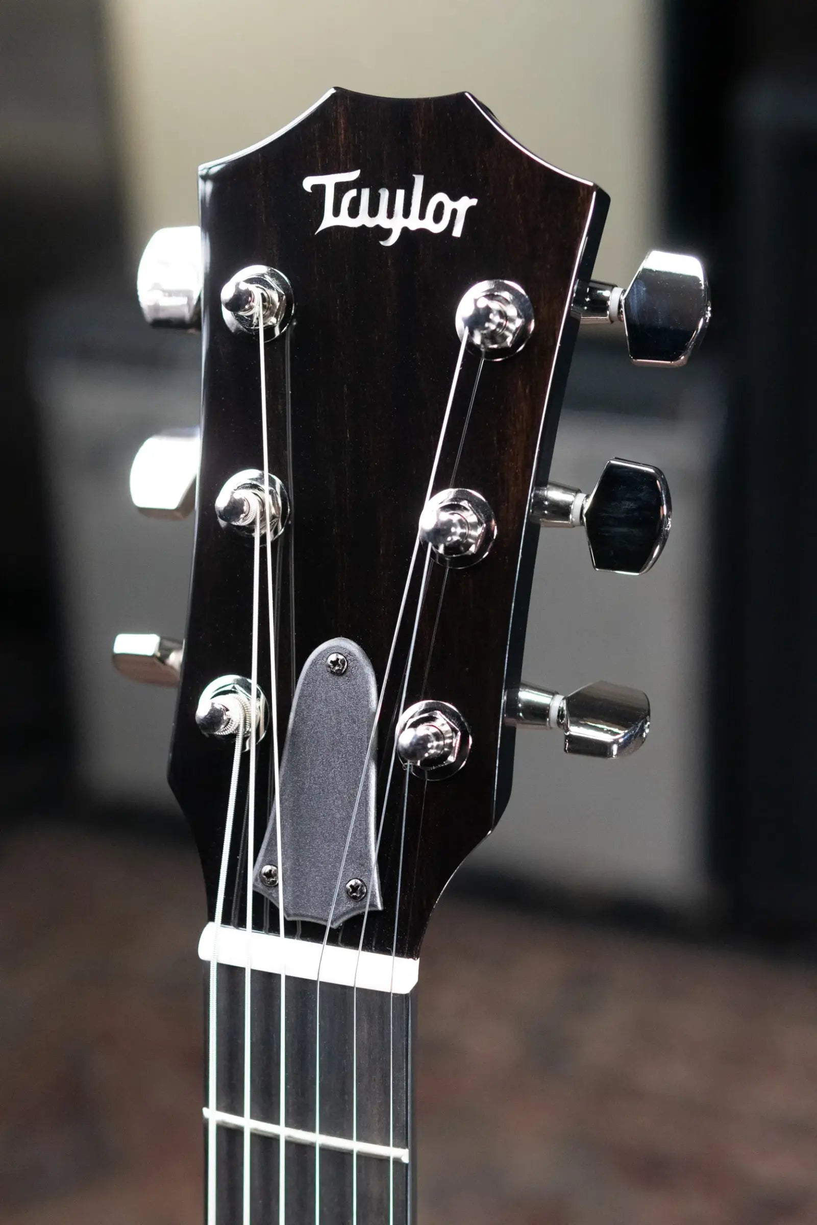 Taylor T5z Pro Electric Guitar - Grapevine with Hardshell Case