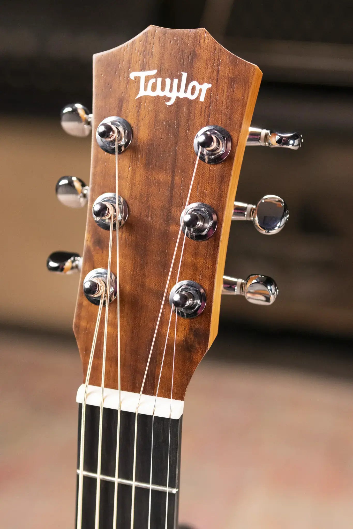 Taylor TS-BT Taylor Swift Signature Baby Taylor Acoustic Guitar with Gig Bag